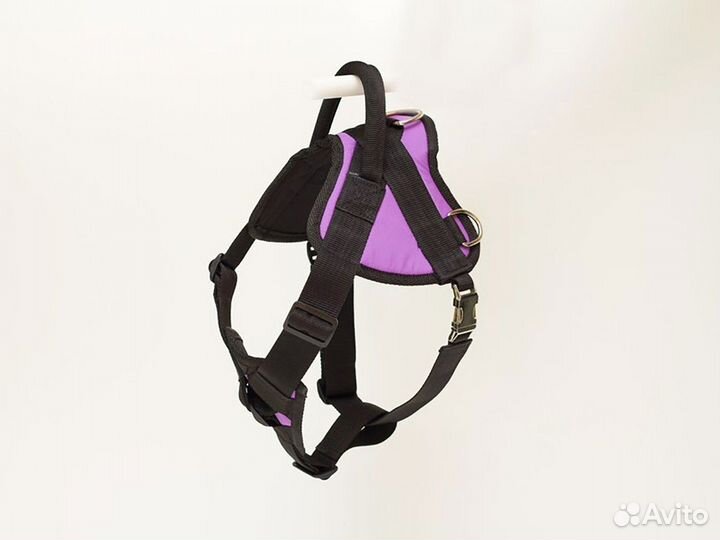 Шлейка анатомическая для собак