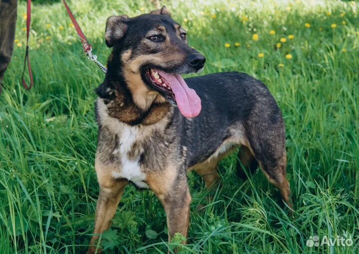 Линси подросток