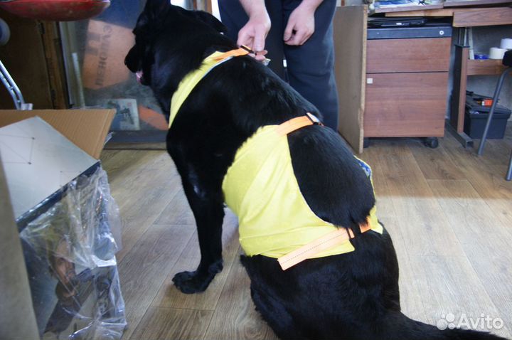 Фартук для собак