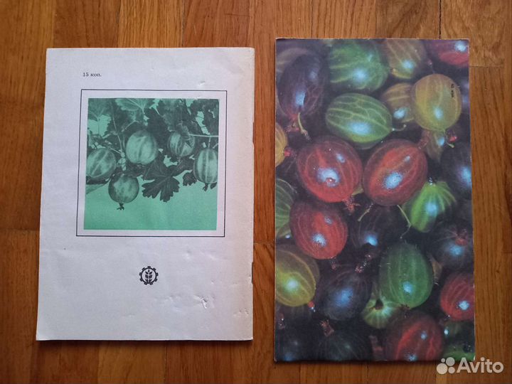 Книги по выращиванию крыжовника