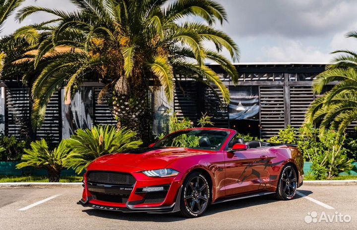 Прокат авто / Ford Mustang GT 500