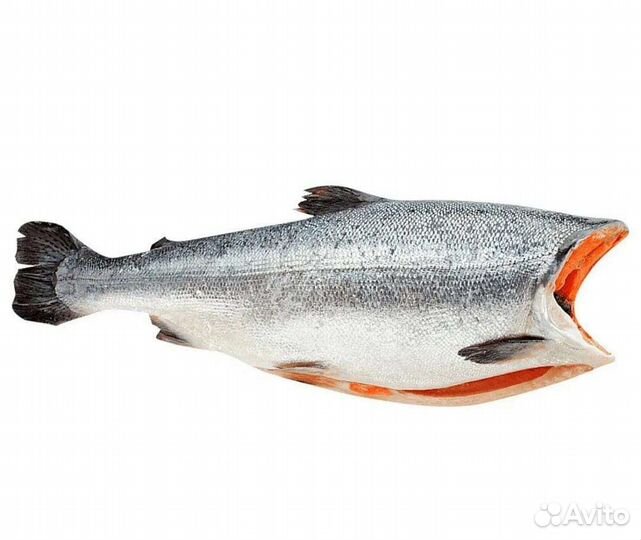 Продукты для животных