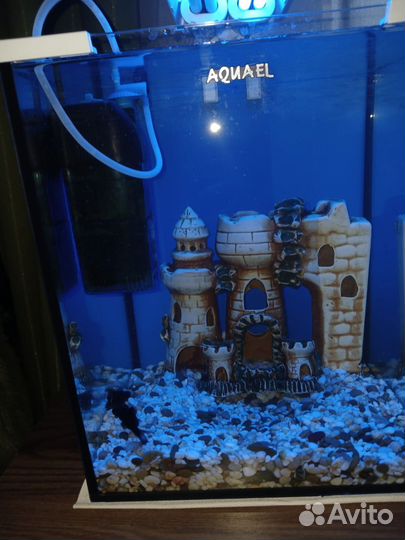 Аквариум