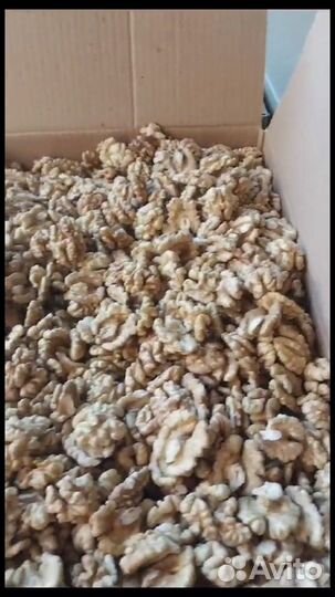 Продаю Орех грецкий