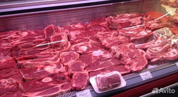 Домашний бычок на Мясо говядина цена договорная