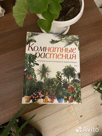 Книга энциклопедия