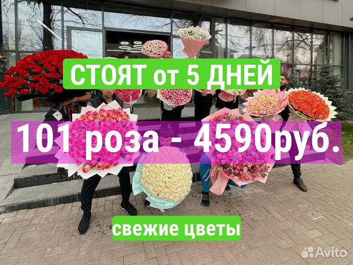 101 роза букет из 101 розы / Доставка