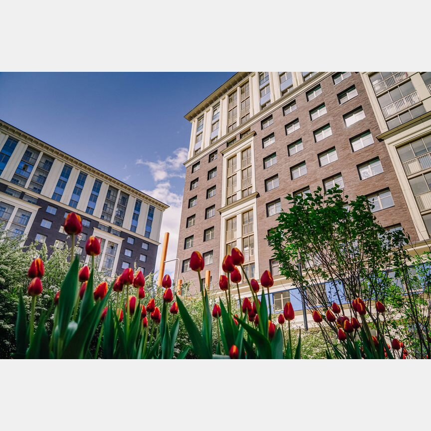 2-к. квартира, 77,3 м², 4/12 эт.