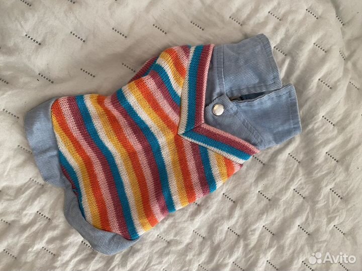 Одежда для маленьких собак