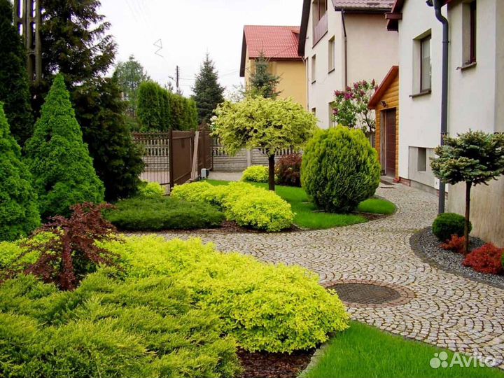 Ландшафтный дизайн 10 соток участка \ Проект №344