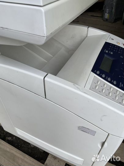 Мфу принтер Xerox 6180