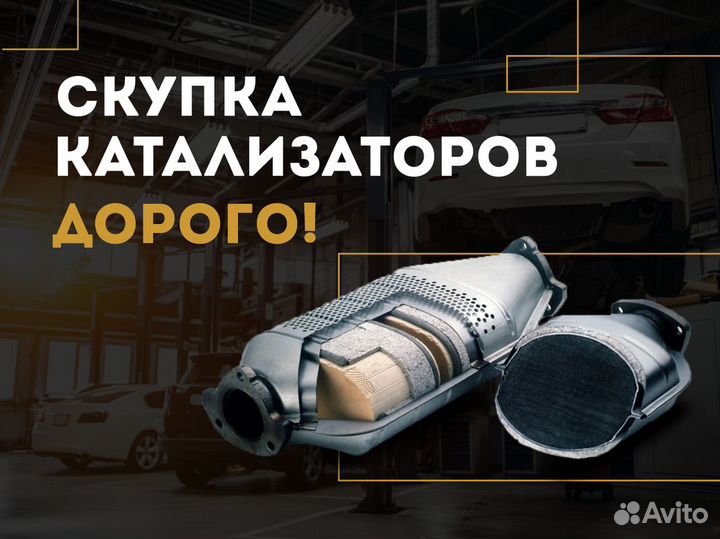 Скупка катализаторов