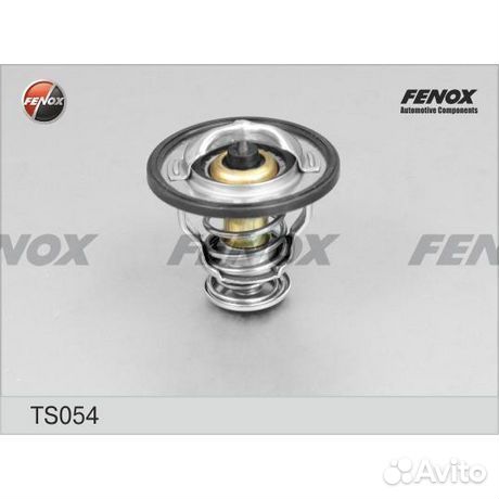 Термостат TS054 fenox