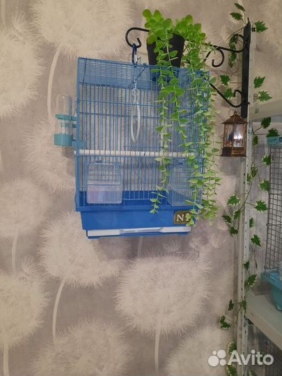 Клетки для птиц