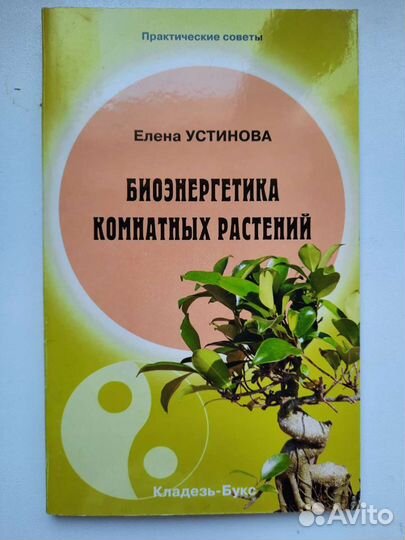 Комнатные растения. Цветник на подоконнике