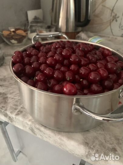 Вишня на ножке крупная