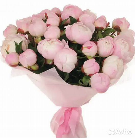 25 пионов букет с доставкой по спб