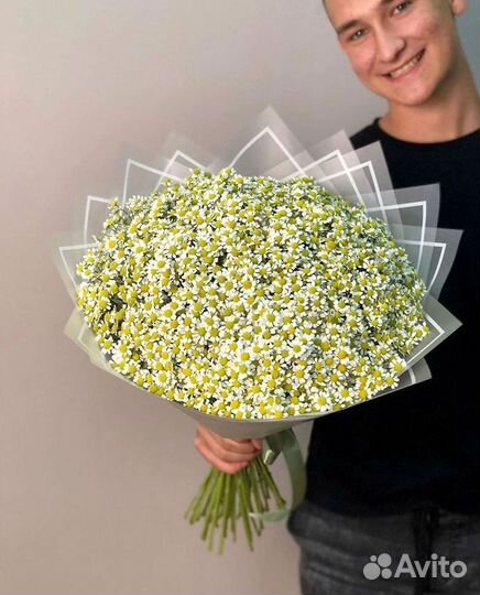 Доставка цветов. Ромашки