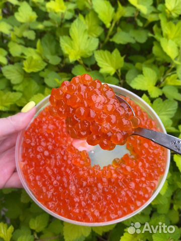 Красная икра