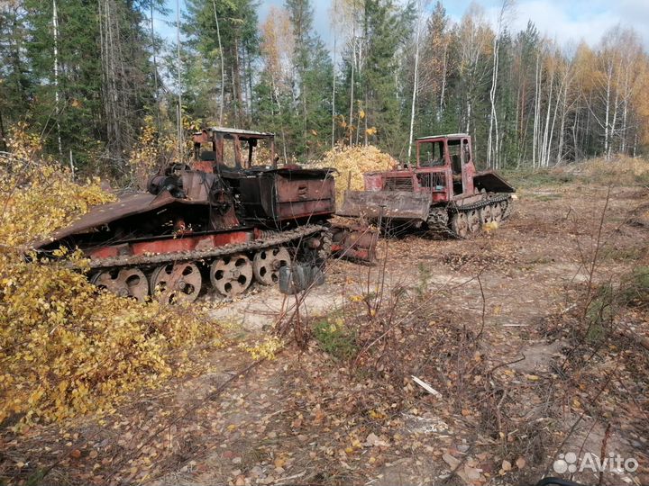 Тракторист тдт 55