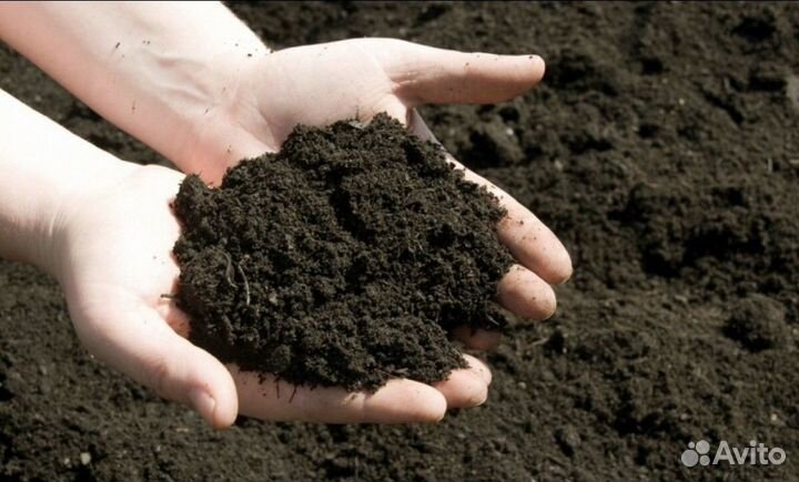 Для посадки чернозём