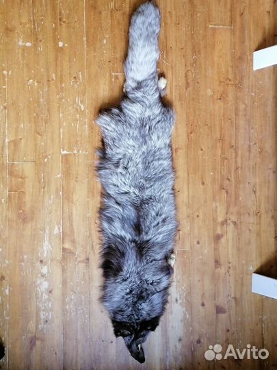 Шкура животного