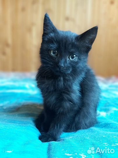 Уголёчек - девочка