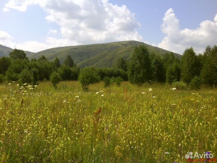 Пчеловодное хозяйство