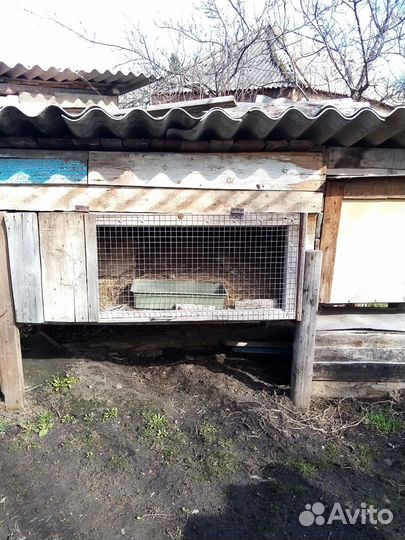 Клетки для кроликов