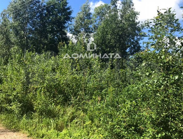 Участок 6 сот. (СНТ, ДНП)