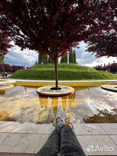 Ищу партнера. Доход от массового набора персонала