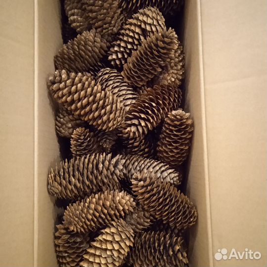 Корзина с шишками