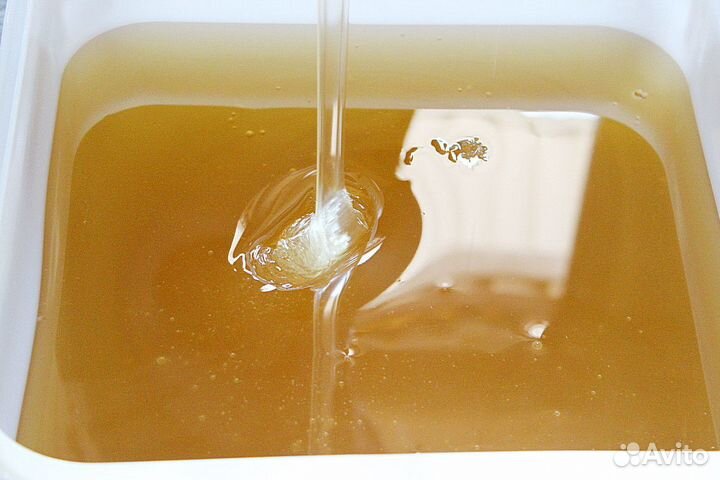 Свежий донниковый мёд оптом