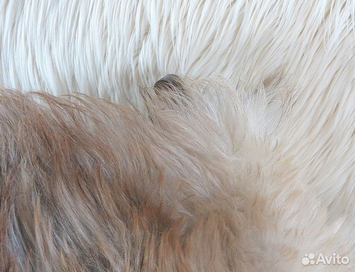 Шкура овечья серо-коричневая (№375)
