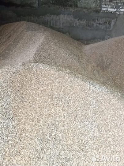 Зерно фуражное