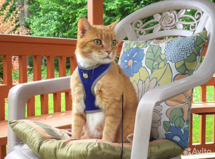 Цифровой фотоаппарат Sony Cybershot DSC-W710 y2k