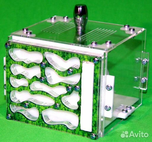 Муравьиная ферма (формикарий) green