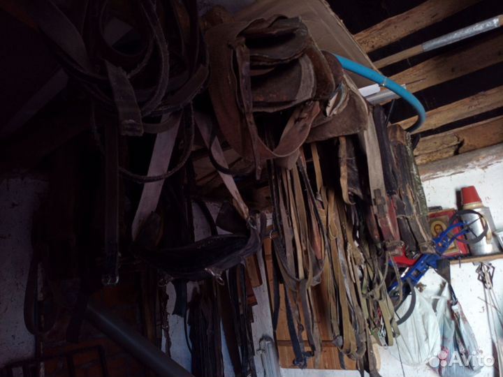 Конная амуниция