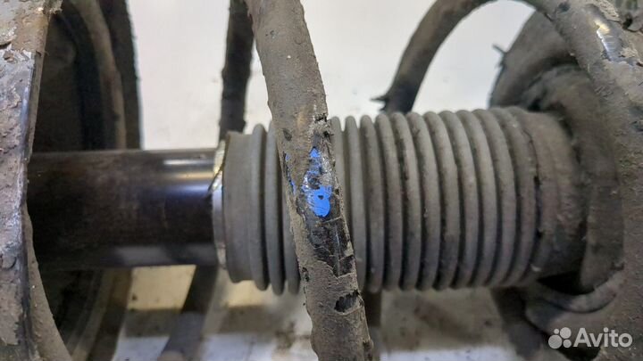 Амортизатор подвески Subaru Legacy (B13), 2008