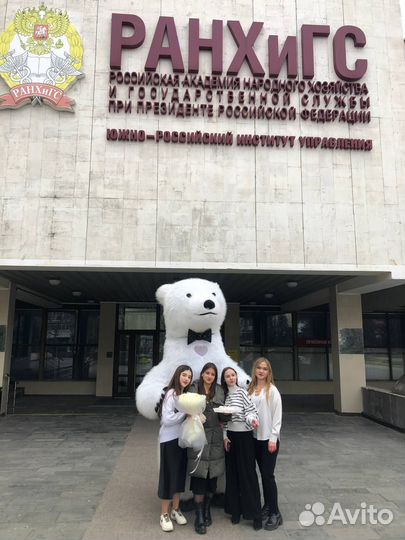 Белый мишка на праздник Чебурашка поздравление