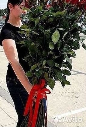 Розы Цветы Букеты 25 151 201 101 301 501 опт