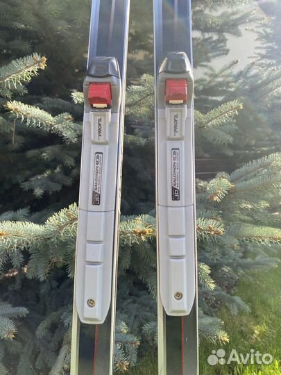 Беговые лыжи fischer