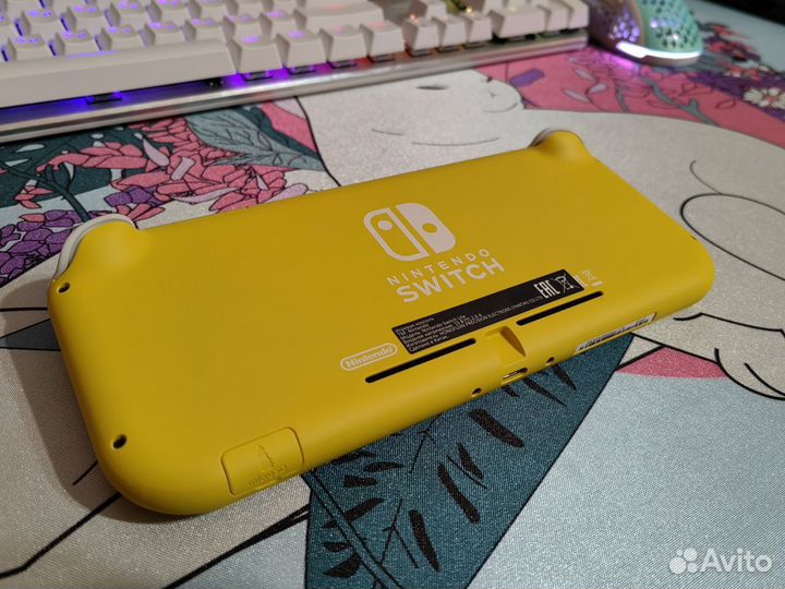 Nintendo switch lite