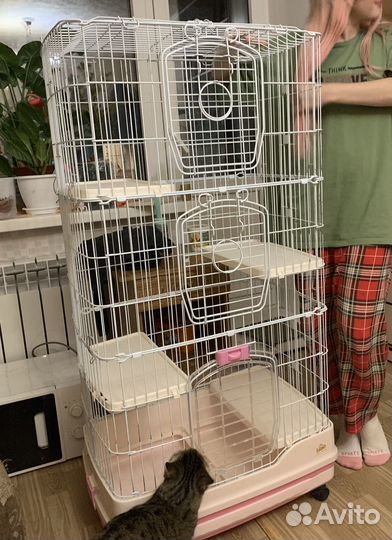 Клетка высокая