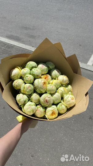 Пионовидная кустовая роза живые цветы. Доставка