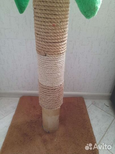 Когтеточка