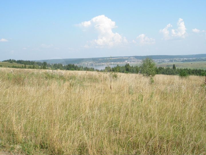 Участок 22,9 сот. (СНТ, ДНП)