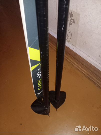 Беговые лыжи