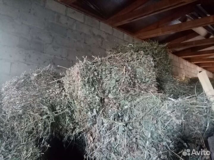 Сено солома в тюках