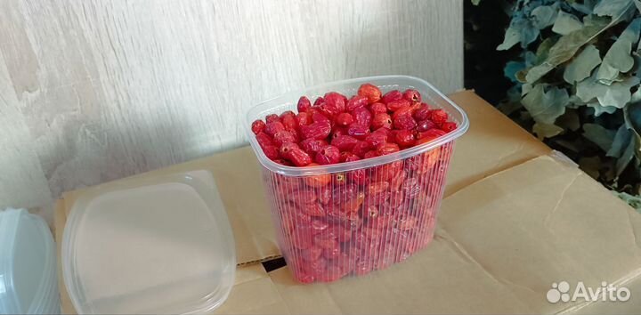 Шиповник Лесной